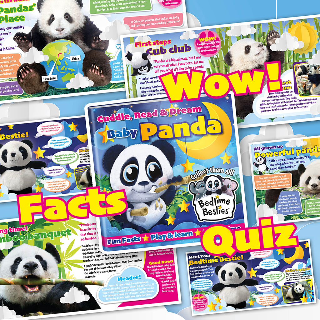 Bedtime Besties® Baby Panda - Book + Cuddly Toy Gift Set