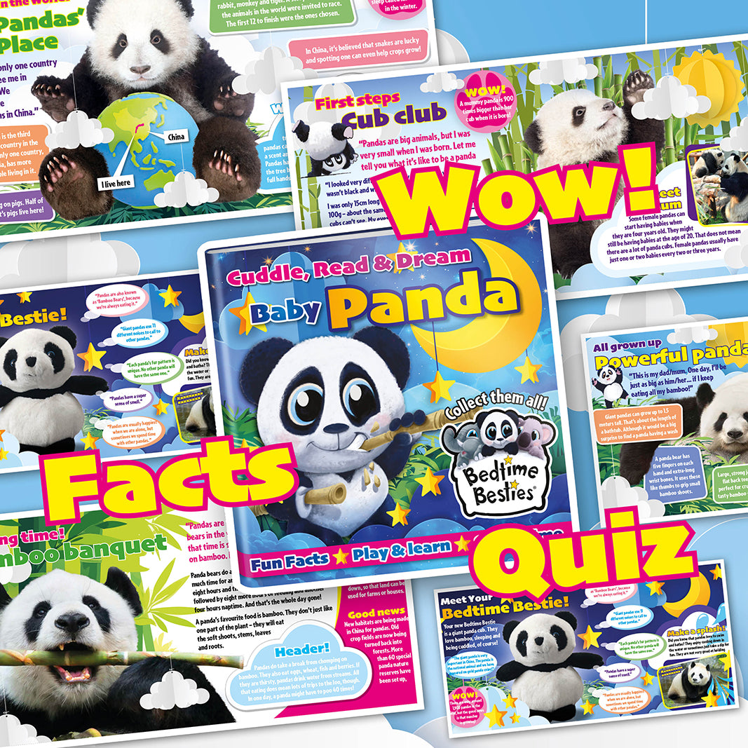 Bedtime Besties® Baby Panda - Book + Cuddly Toy Gift Set