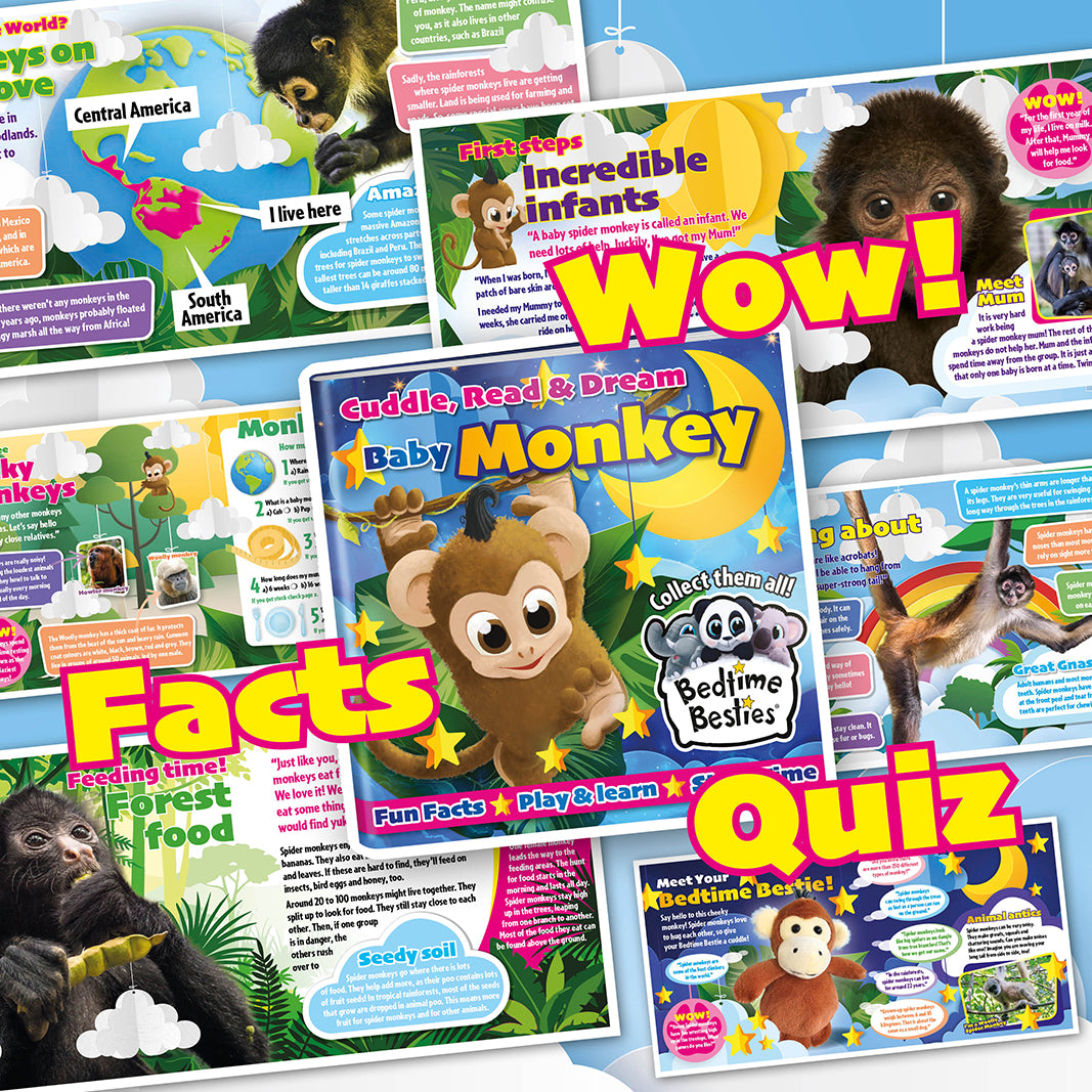 Bedtime Besties® Baby Monkey - Book + Cuddly Toy Gift Set